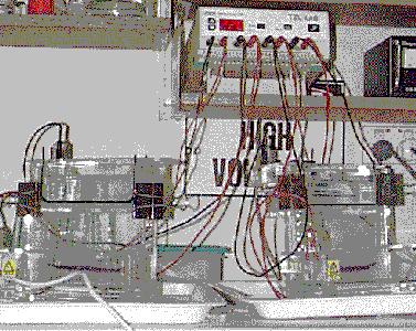 electrophoresis graves1.jpg