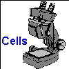 Cells