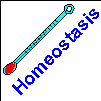 Homeostasis