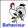 Behaviour