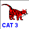 CAT 3