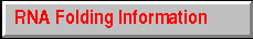 RNA Folding Information