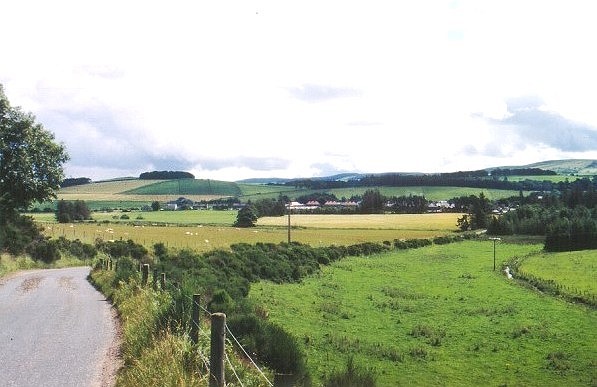 De vindplaats van de Rhynie Chert